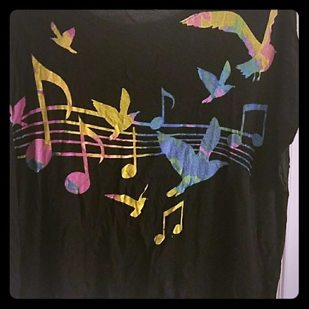 Rainbow musical notes and birds crop top